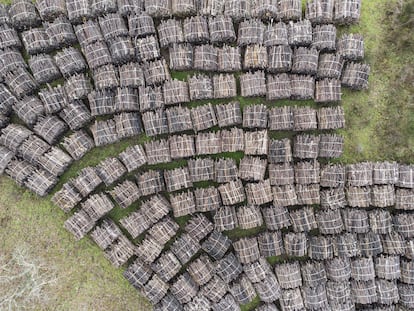 Vista desde arriba de madera apilada.