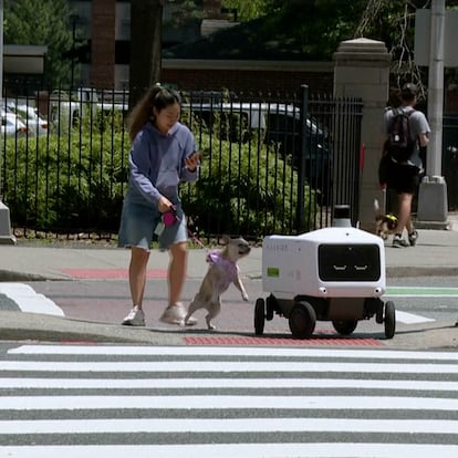 Una mujer y su perro en un cruce peatonal junto a un robot de Avride en Jersey City, en junio 2025.