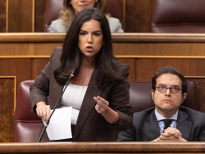 La portavoz de Vox, Pepa Millán, y su compañero José María Figaredo, en el pleno del Congreso el pasado día 9.