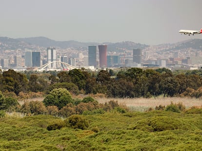 Un avión se disponía a aterrizar el martes en el aeropuerto de El Prat.