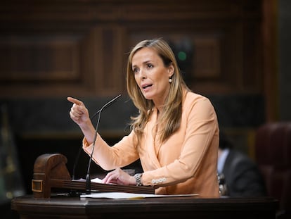 La diputada del PP Carmen Navarro, este martes en el pleno del Congreso.