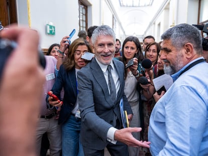 El ministro del Interior, Fernando Grande-Marlaska, en el pasillo del Congreso, este miércoles.