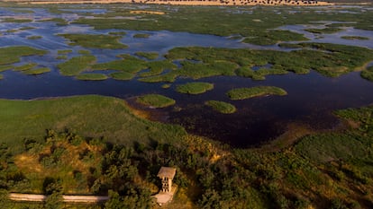 Vista aérea por la zona de la Torre de Prado Ancho en el Parque Nacional de las Tablas de Daimiel, en Ciudad Real.