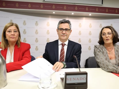 Bolaños, en la comisión de Justicia del Senado.