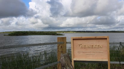 Un rótulo junto a la laguna de la Dehesa de abajo conmemora en Doñana, Reserva de la Biosfera, la contribución Heineken en la conservación del ecosistema, vital para muchas especies de aves migratorias.