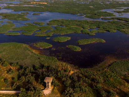 Vista aérea por la zona de la Torre de Prado Ancho en el Parque Nacional de las Tablas de Daimiel, en Ciudad Real.
