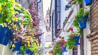 Córdoba, los prodigios de una ciudad que rebosa vida