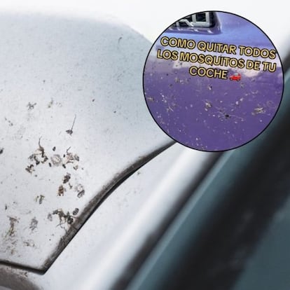 Adiós a los mosquitos: hay un truco casero bastante económico para quitarlos del coche y del casco de la moto
