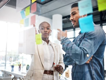 Maestría 'online' en Project Management