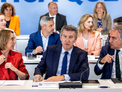 Alberto Núñez Feijóo preside la reunión del Comité Ejecutivo Nacional del partido.en sede nacional del PP este lunes.