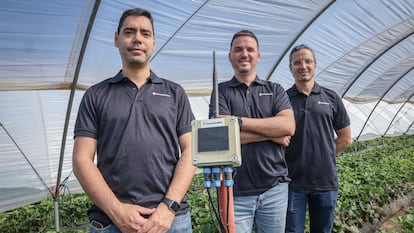 Moguer (Huelva)  reportaje de la empresa sensacultivo. Daniel Márquez (yo)Alfonso Chaparro (socio)David Cruz (socio)  foto.ALEJANDRO RUESGA