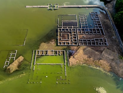 Vista del campamento romano Aquis Querquennis, semisumergido en el embalse de As Conchas en Bande (Ourense), durante la actual invasión de cianobacterias.