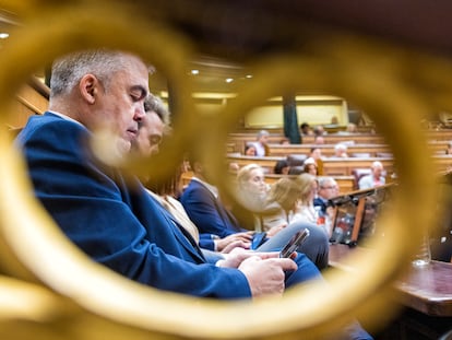 Santos Cerdán, en la sesión de control al Gobierno de este miércoles en el Congreso.