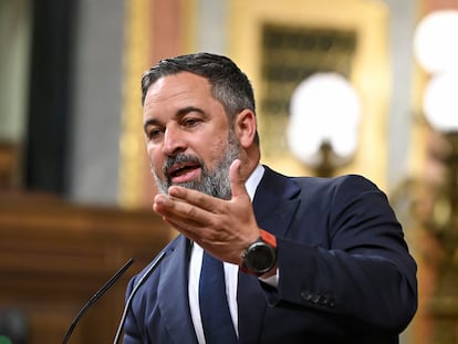 El líder de Vox, Santiago Abascal, durante su intervención del pasado día 7 en el pleno del Congreso.