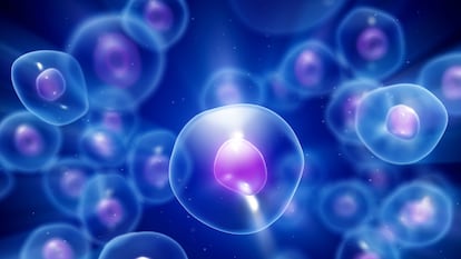 Un renderizado en 3D de alta calidad de las células.