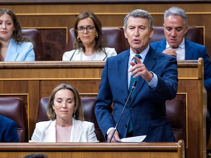 Alberto Núñez Feijóo, durante su pregunta a Sánchez, este miércoles en la sesión de control.