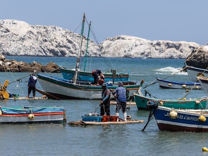 Pescadores de la Isla Foca en Piura, al norte del Perú.